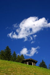 Fototapeta na wymiar Alpine hut on meadow in clear sunny day