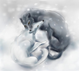 Snow wolfs © issalina