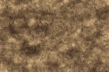 Craked earth texture