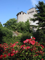 Obraz premium Il castello tra i fiori