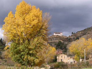 Obraz premium otoño