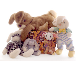 Bunnies, Big and Small