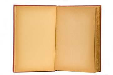 Yellowed and aged blank pages 