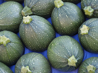Runder Zucchini
