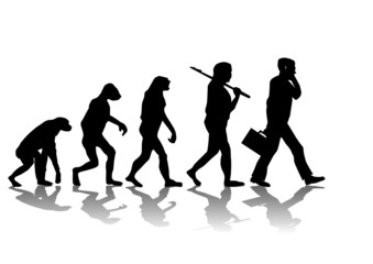 Plakat Evolution