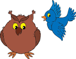 Owl and Blue bird 