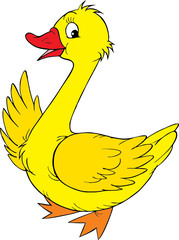 Yellow goose 