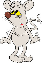 Grey mouse 