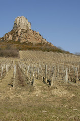 rocher de solutré