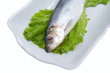 fresh herring  on green sheet of the salad