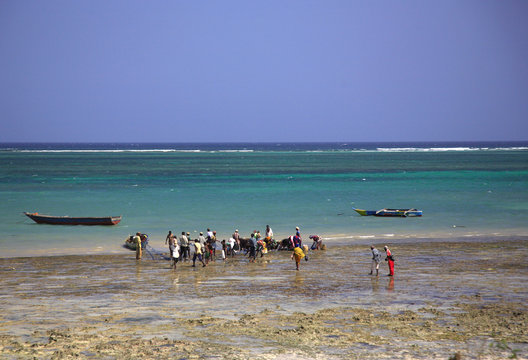 Locals buying fish on the beach Mombassa Kenya Africa