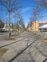 Fototapete bei efototapeten.de bestellen   