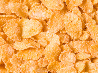 macro of cornflakes
