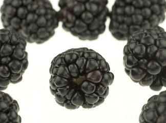 Blackberries