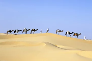 Gordijnen CAMEL caravan © rcaucino