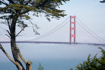 The Golden Gate Bridge in the Morning Fog