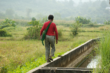 Thailand -  farmer