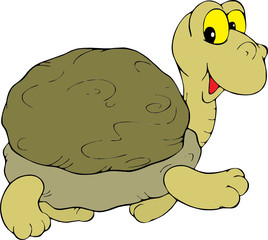 Turtle