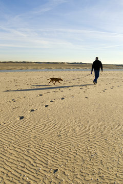 walking the dog at the beach