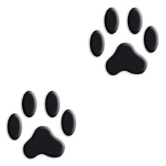 Pfote, Tatze, Abdruck