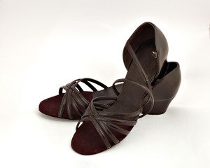 A pair of ballroom dance shoes