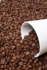 Kaffeebohnen mit Tasse