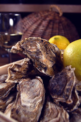 Oysters with wine