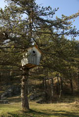 huge wooden nestling box  for birds on the tree