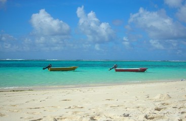 Pitstop in paradise
