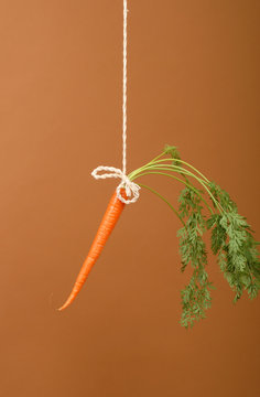 Carrot on a stick detail on brown background