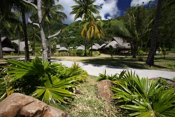 Rolgordijnen jardin © serge simo