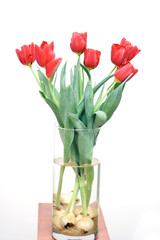 Bouquet of tulips an vase on white background