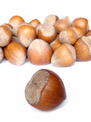 hazelnuts