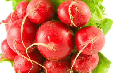 bundle of red radish isolated on white background