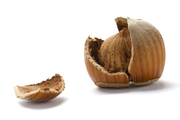 Cracked Hazelnuts isolated on white background