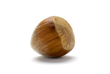 Whole Hazelnut isolated on white background..