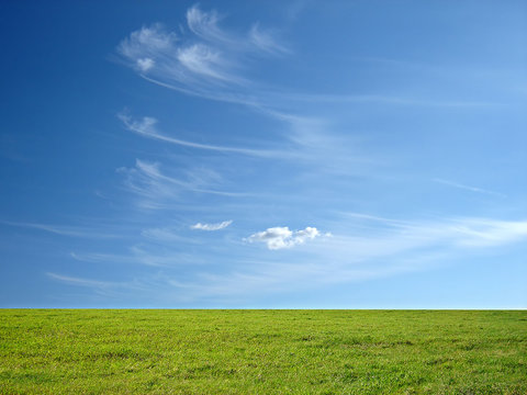 blue sky and green grass for successful advertisement