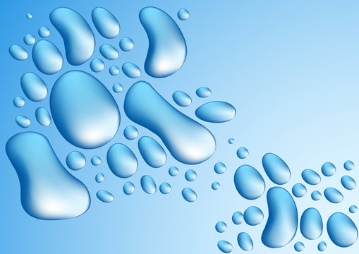 Vector illustration of water dew drops.