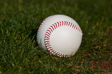 Baseball on the green grass of a ball field