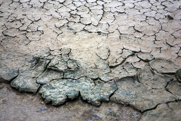 Ile de Ré, réserve Illeau des Niges, boue de marais