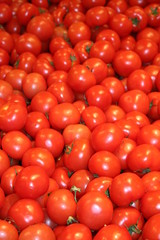 Market day in Sweden - tomatoes for sale
