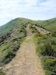 Cape Reinga Wanderweg