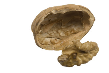 Walnuss mit Kern freigestellt