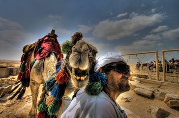 smiling camel and serious guy