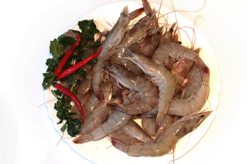 Raw grey prawn isolated on white background