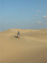 Fototapeta na wymiar balade dans les dunes