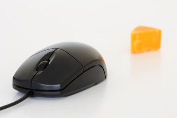 Mouse and cheese
