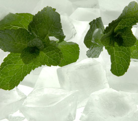 fresh mint with ice