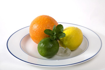 lime, orange, lemon, mint  on the plate