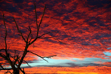 Mystische Stimmung am Abend